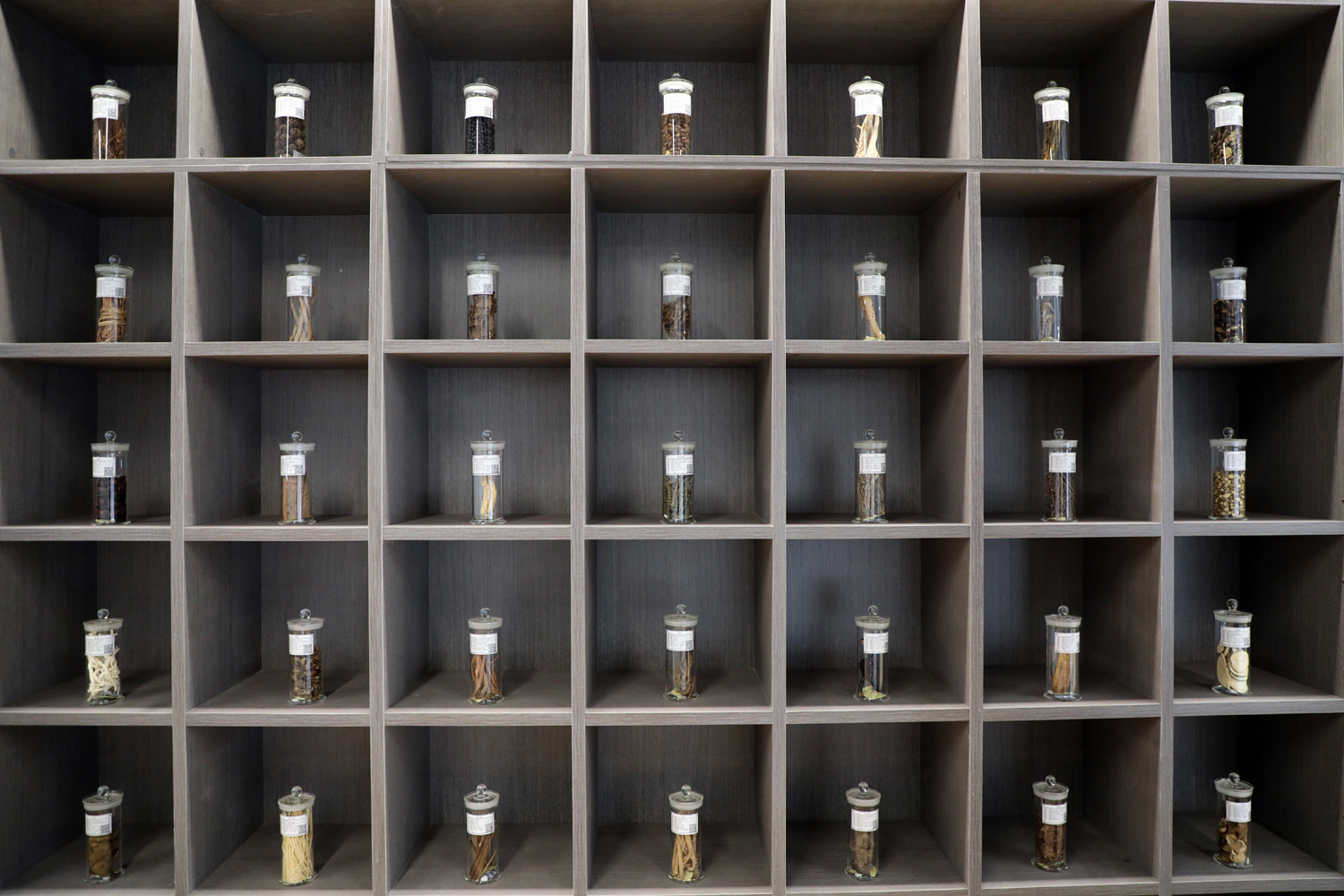 3b81d64681a94b0a908418a8201dea60.jpg 3b81d64681a94b0a908418a8201dea60.jpg