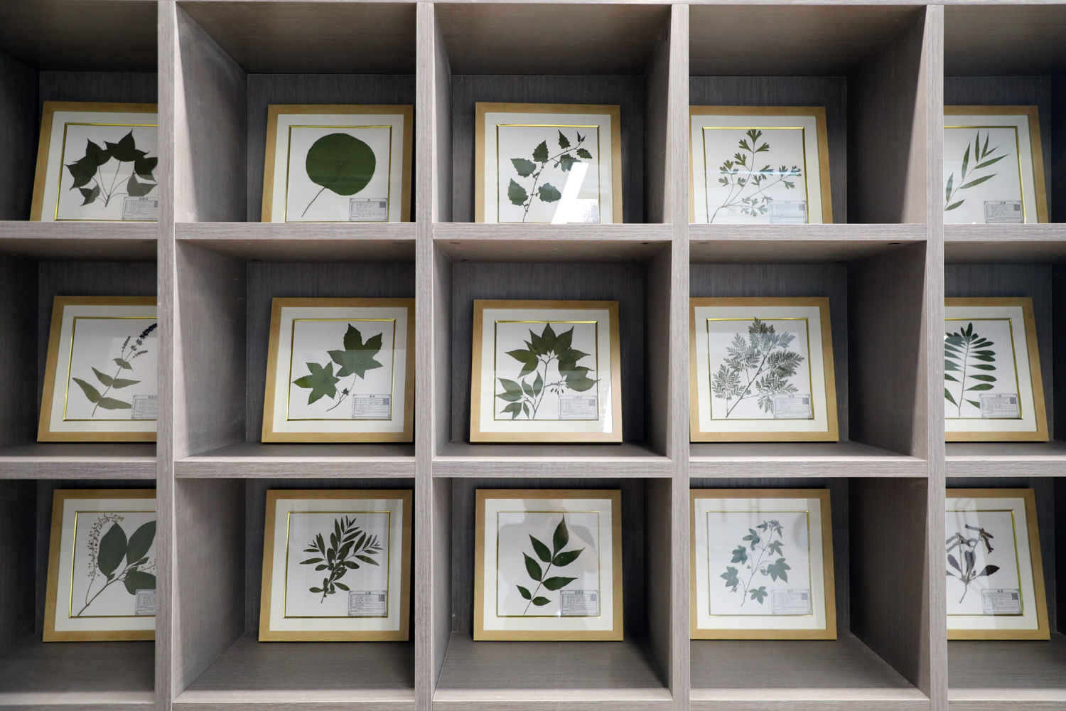 f56150fc965f40e0a3773a84a4d7b2b3.jpg f56150fc965f40e0a3773a84a4d7b2b3.jpg