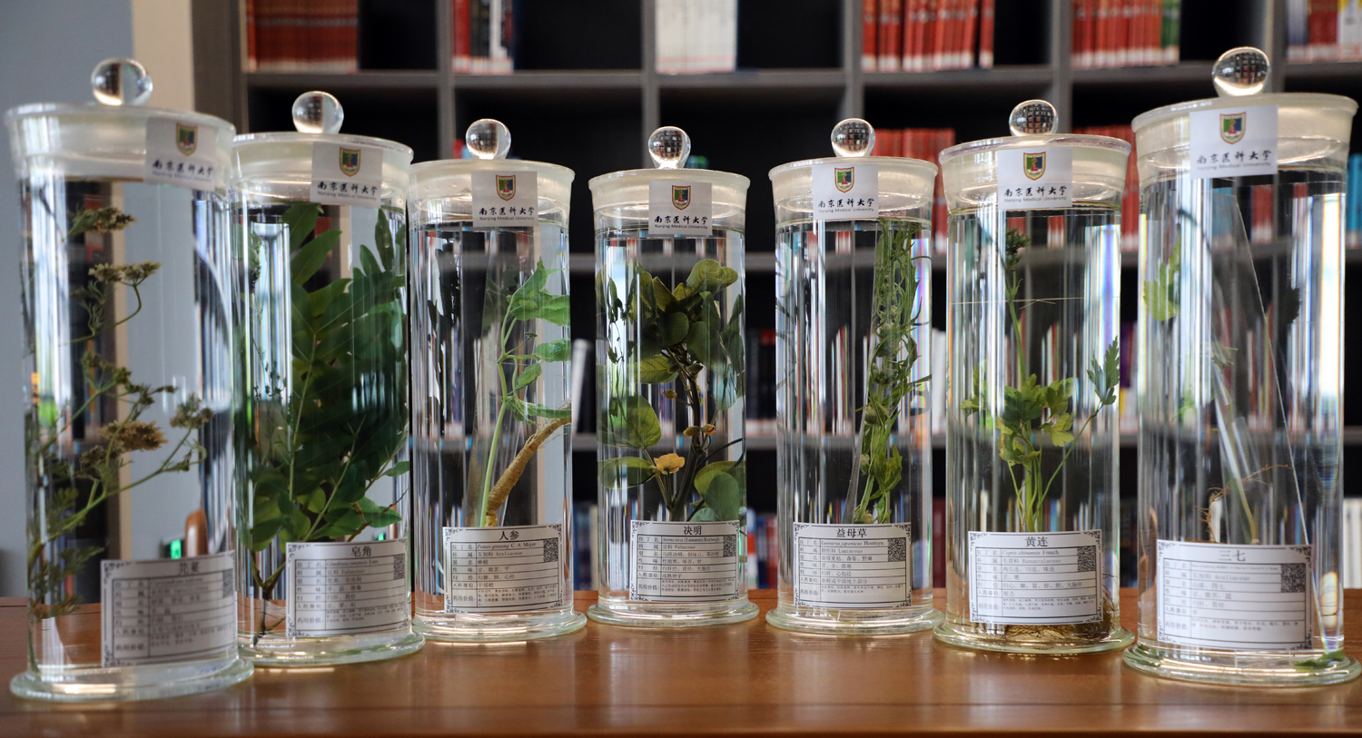 fbfdd696d2c341e1a45844251def71d0.jpg fbfdd696d2c341e1a45844251def71d0.jpg