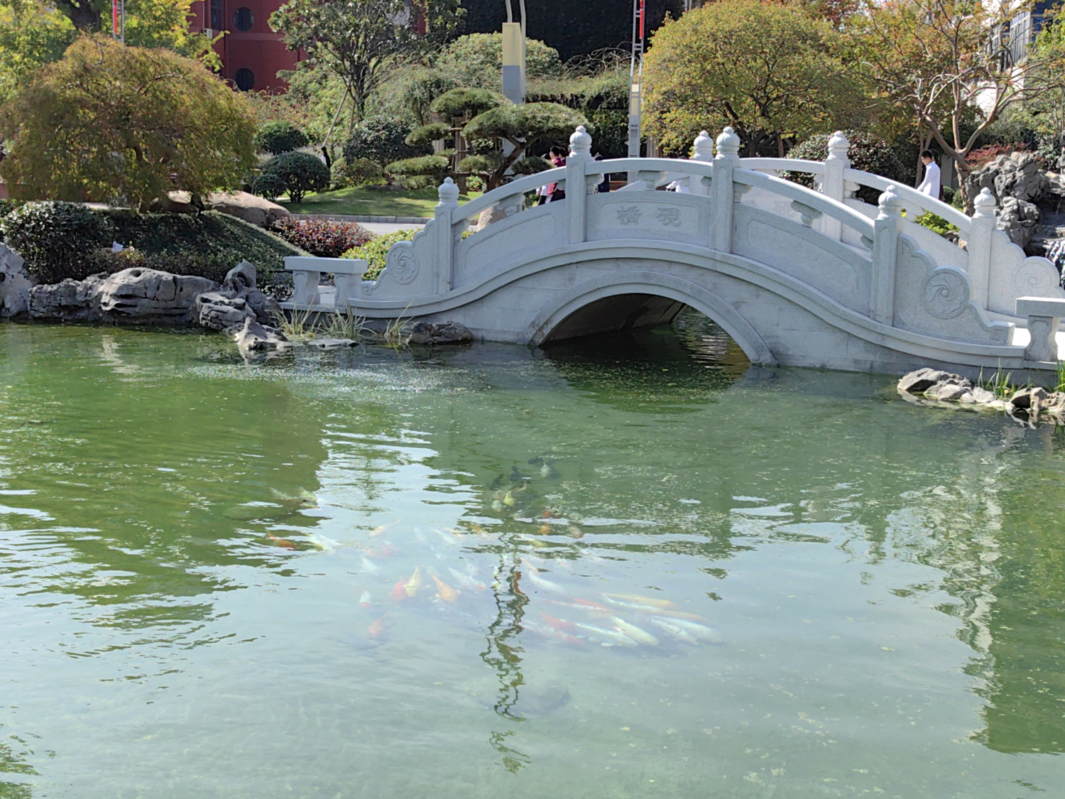 2e30b3df5d8f401d87d0209ed0218aa4.jpg 2e30b3df5d8f401d87d0209ed0218aa4.jpg