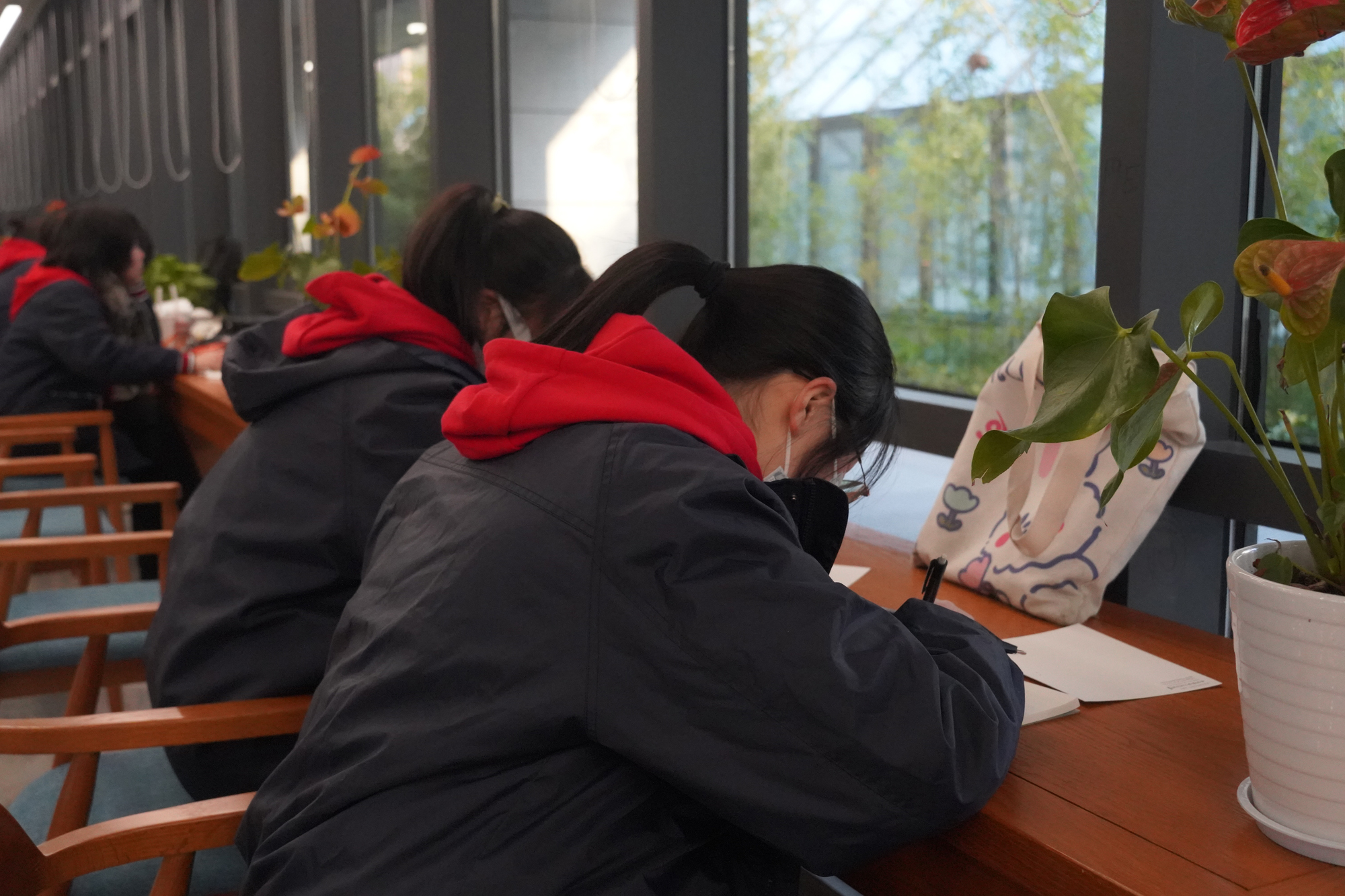 661633ba6e66455eadd2c2f444755e68.jpg 661633ba6e66455eadd2c2f444755e68.jpg