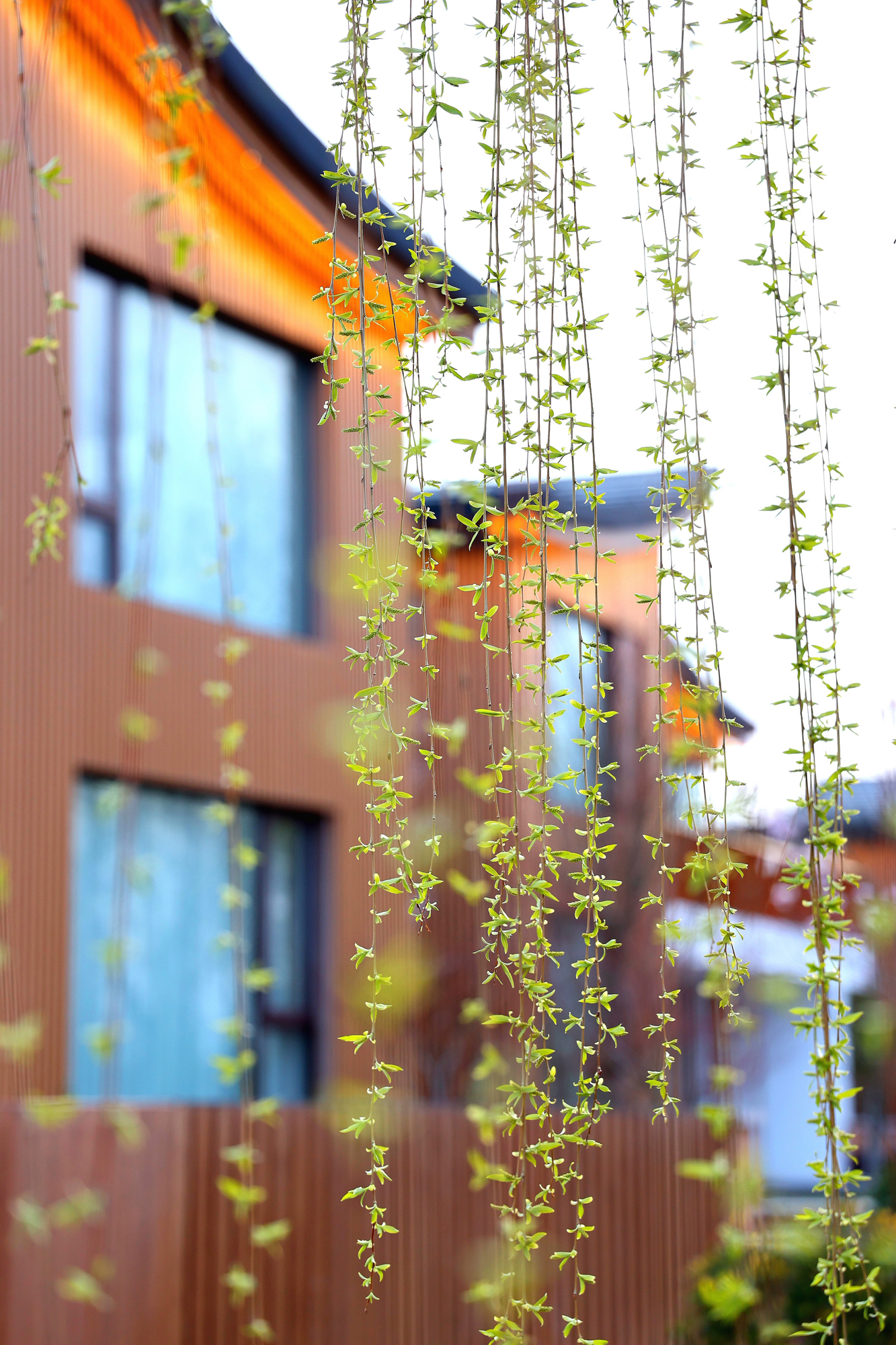 004f7d7a01c747bf899b8921aac42098.jpg 004f7d7a01c747bf899b8921aac42098.jpg