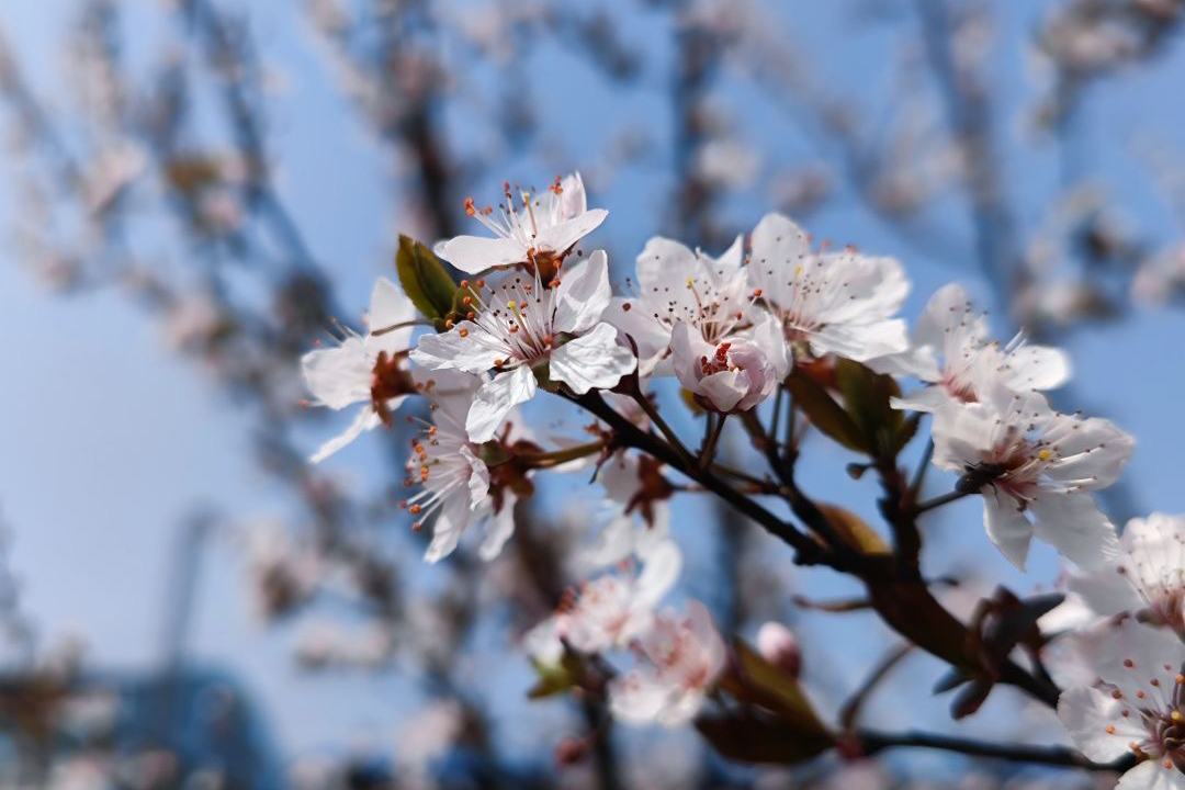 0a082578b3ba4c78a5a7cdd0b9146510.jpg 0a082578b3ba4c78a5a7cdd0b9146510.jpg