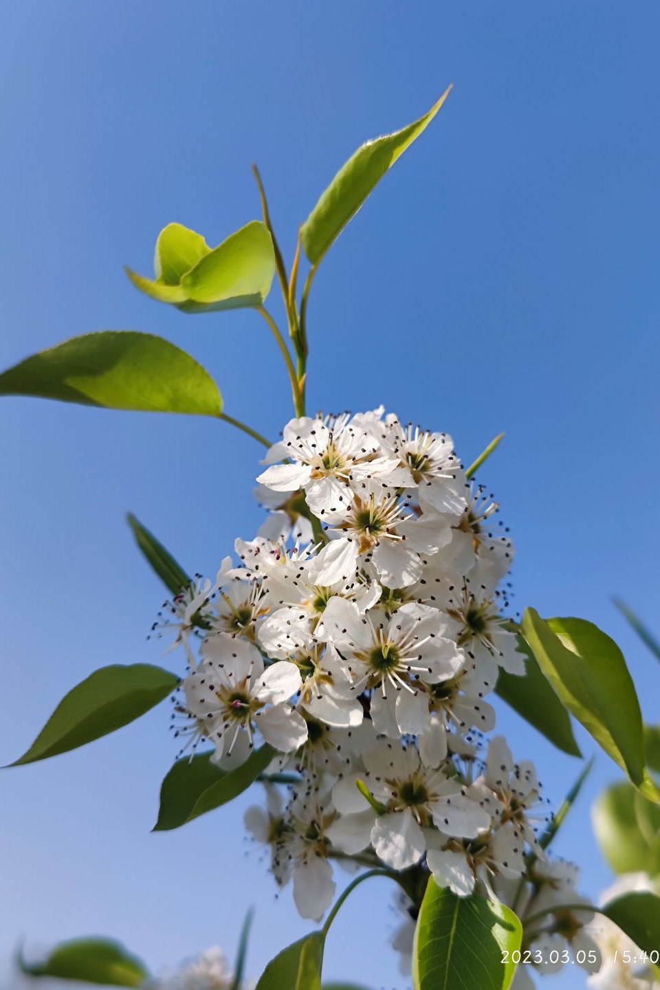 2f854f9405304b3dbeddd1c408e54374.jpg 2f854f9405304b3dbeddd1c408e54374.jpg