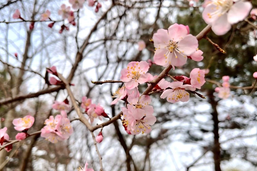 3b31387054524f18ac53e436e535bbf9.jpg 3b31387054524f18ac53e436e535bbf9.jpg