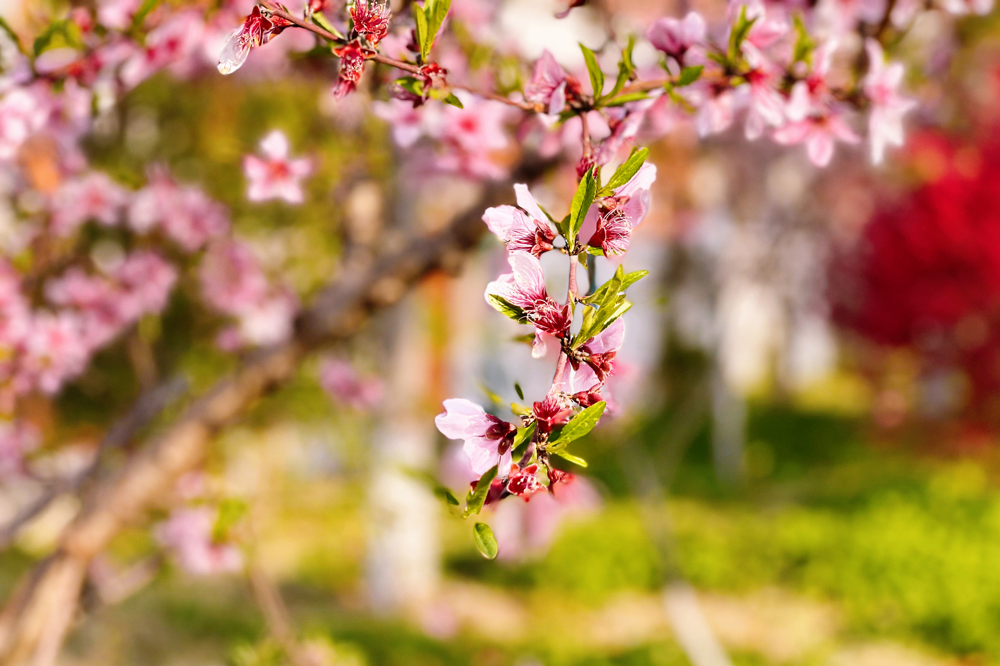 41a162d2f06d493bbd8b1fb7f61a0dc5.jpg 41a162d2f06d493bbd8b1fb7f61a0dc5.jpg