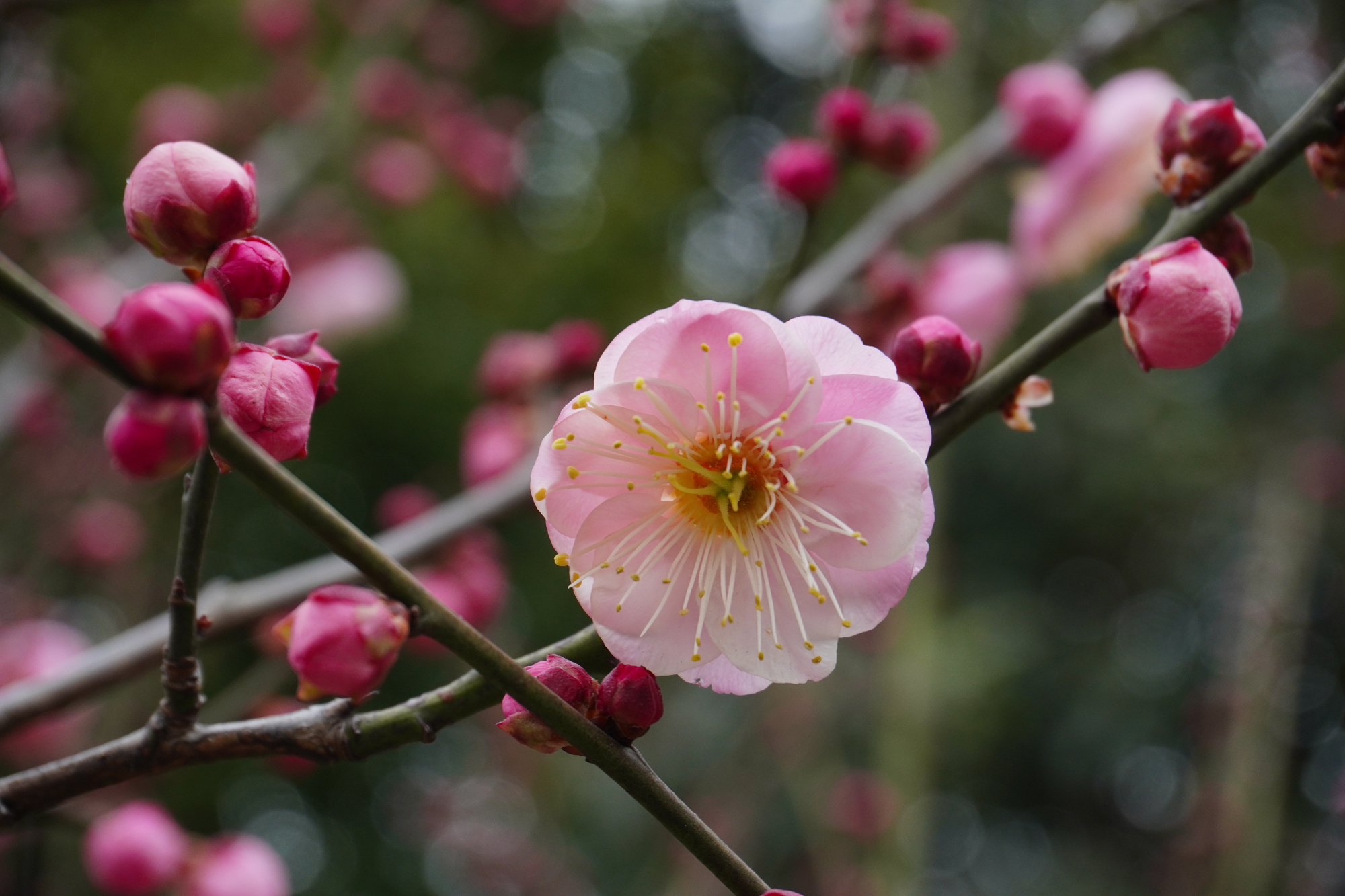 60375d92122b46e9bb7cdfeb08303570.jpg 60375d92122b46e9bb7cdfeb08303570.jpg