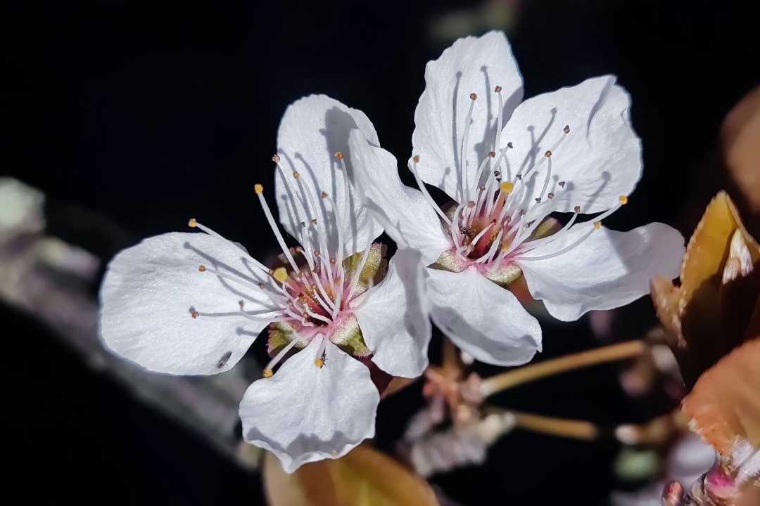 725702db0bcf4bd79beac257b1cec8b2.jpg 725702db0bcf4bd79beac257b1cec8b2.jpg