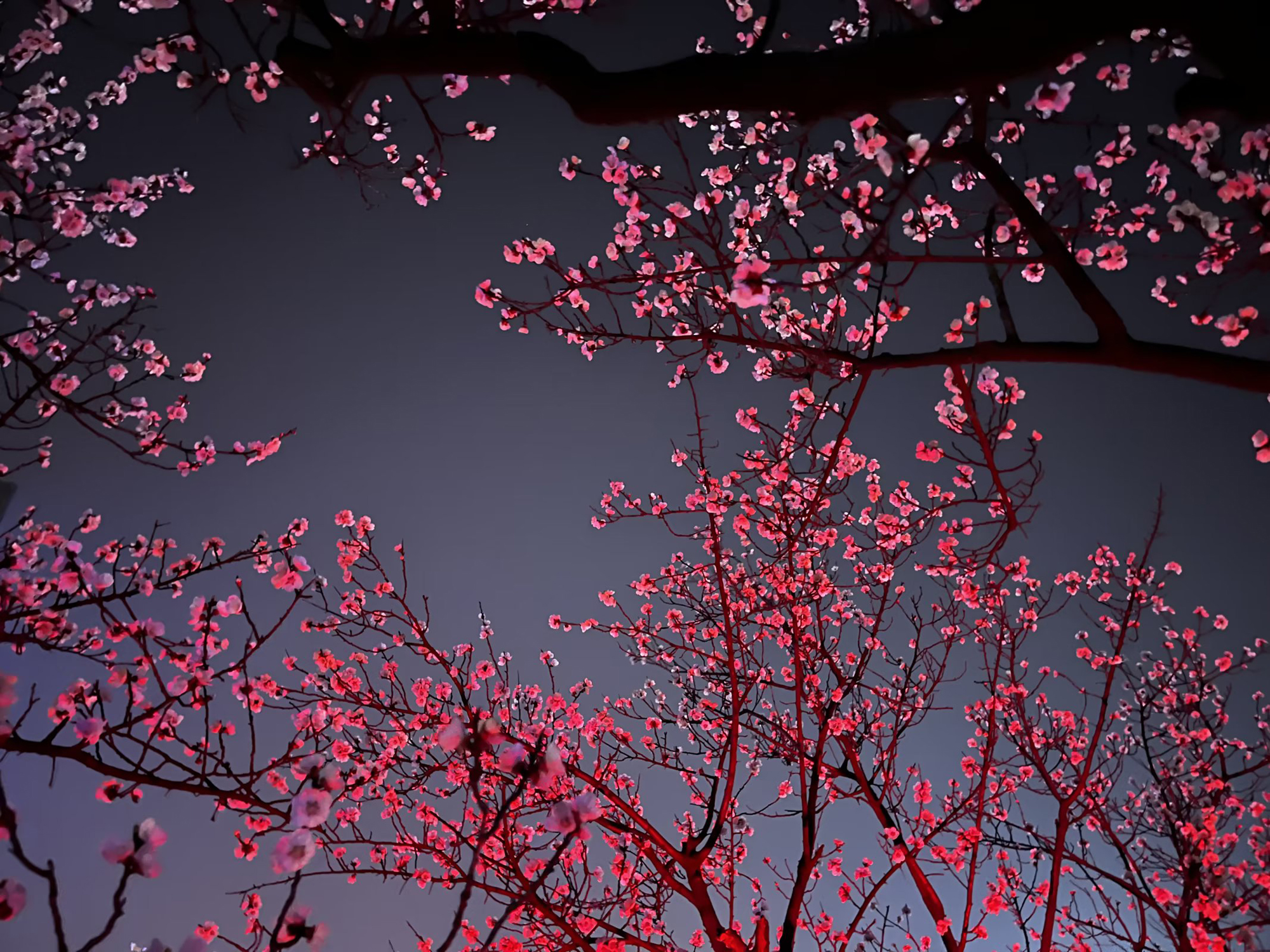 7ee3b1a0552e46ba8d12bac58dd1c9a3.jpg 7ee3b1a0552e46ba8d12bac58dd1c9a3.jpg