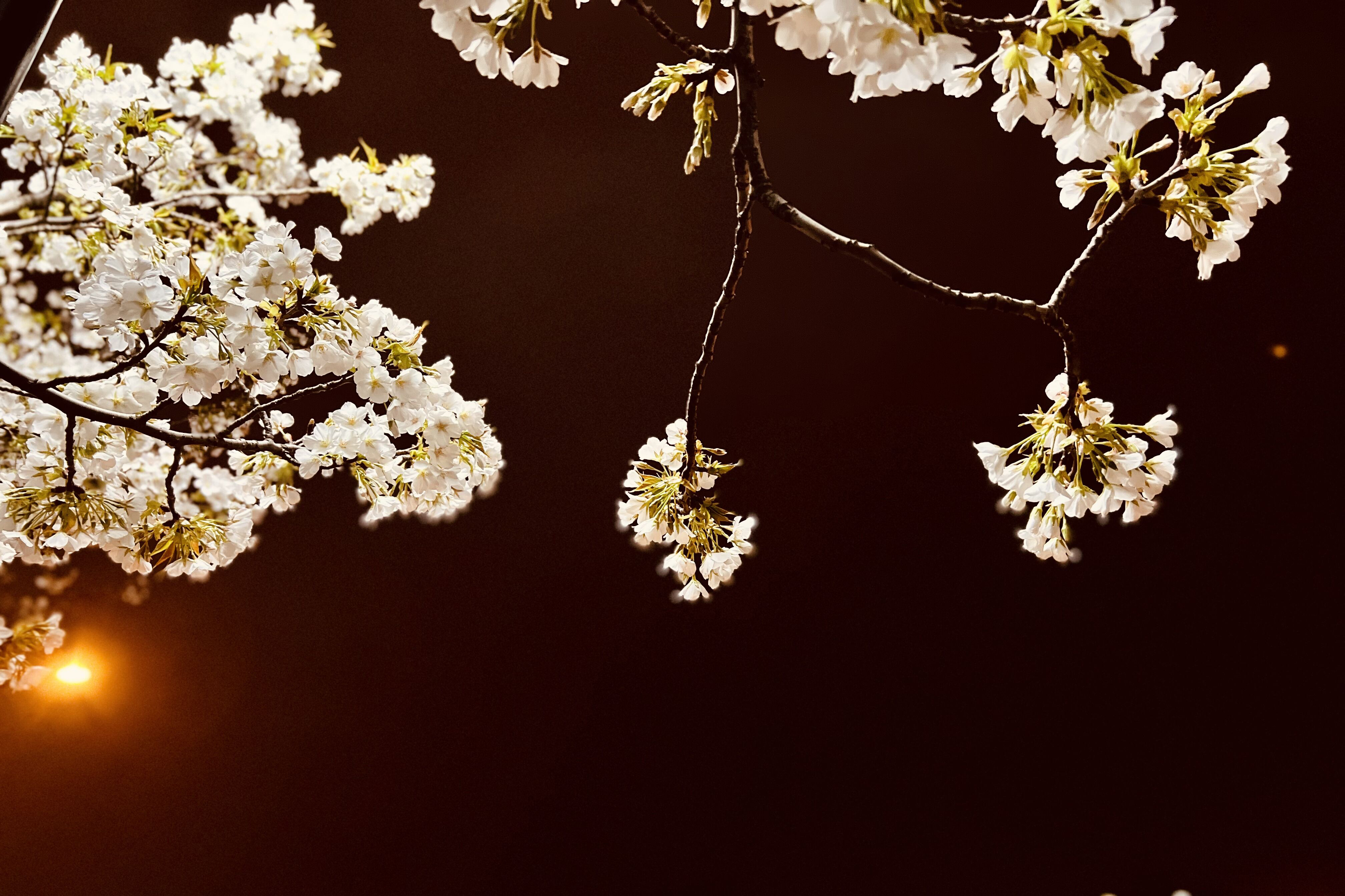 8c6d7e8d31ed4602a0aae9812af805e9.jpg 8c6d7e8d31ed4602a0aae9812af805e9.jpg