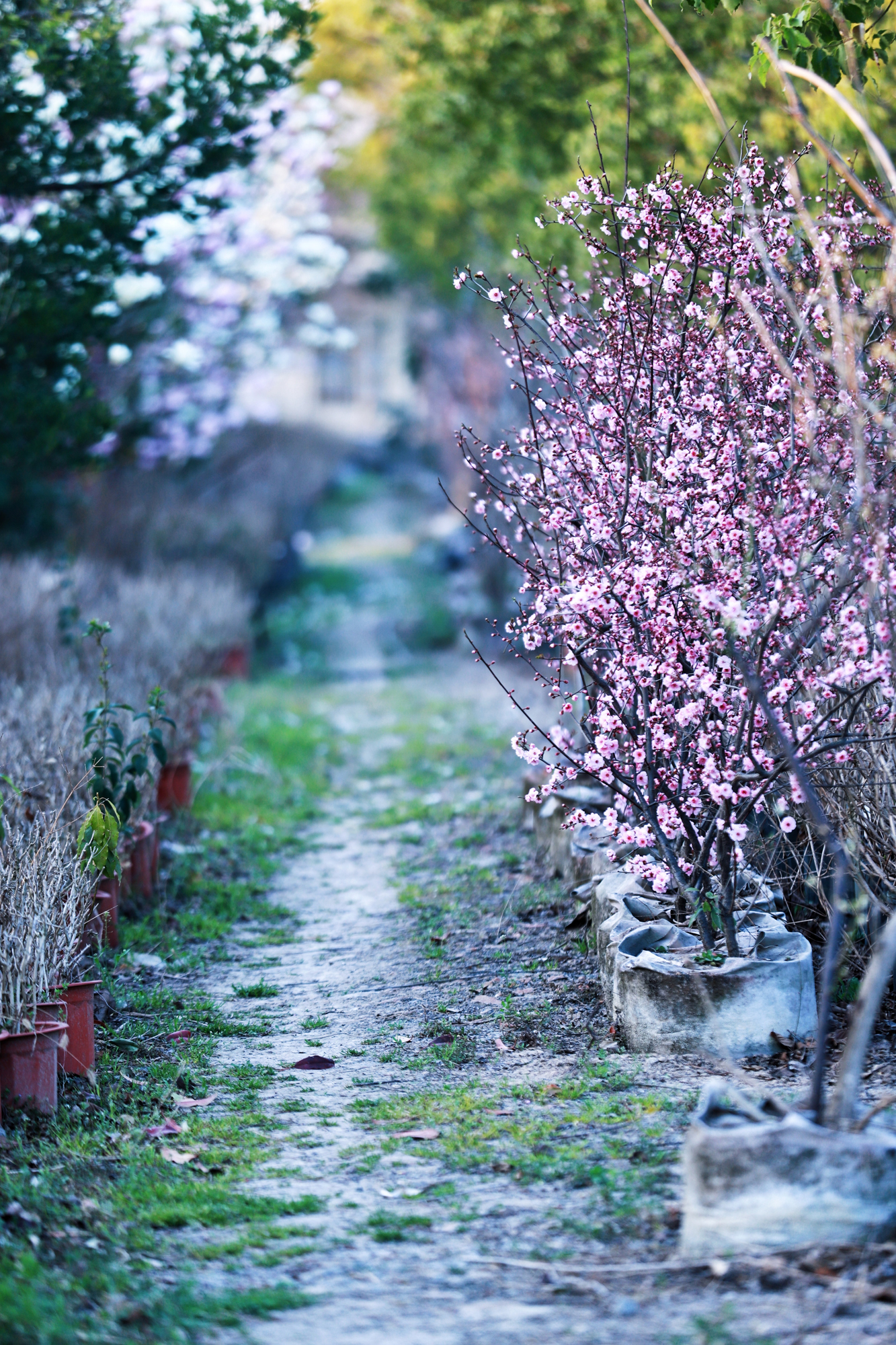 8e8f38891d434abab3528679e6ec11d7.jpg 8e8f38891d434abab3528679e6ec11d7.jpg