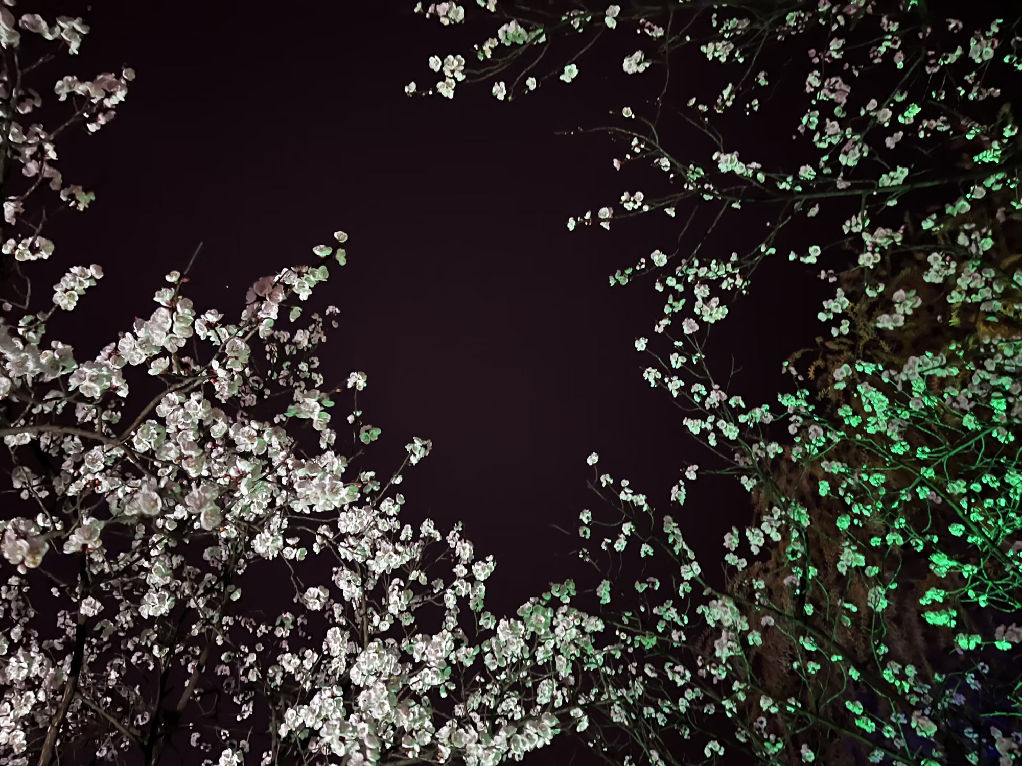 9cda55bf2d6a4358b4ae9cf66e887238.jpg 9cda55bf2d6a4358b4ae9cf66e887238.jpg