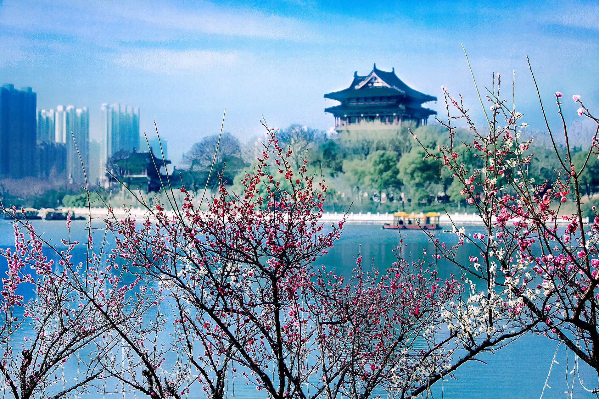 a2a2e0fb62d548f4b73c1a7a8a199ede.jpg a2a2e0fb62d548f4b73c1a7a8a199ede.jpg