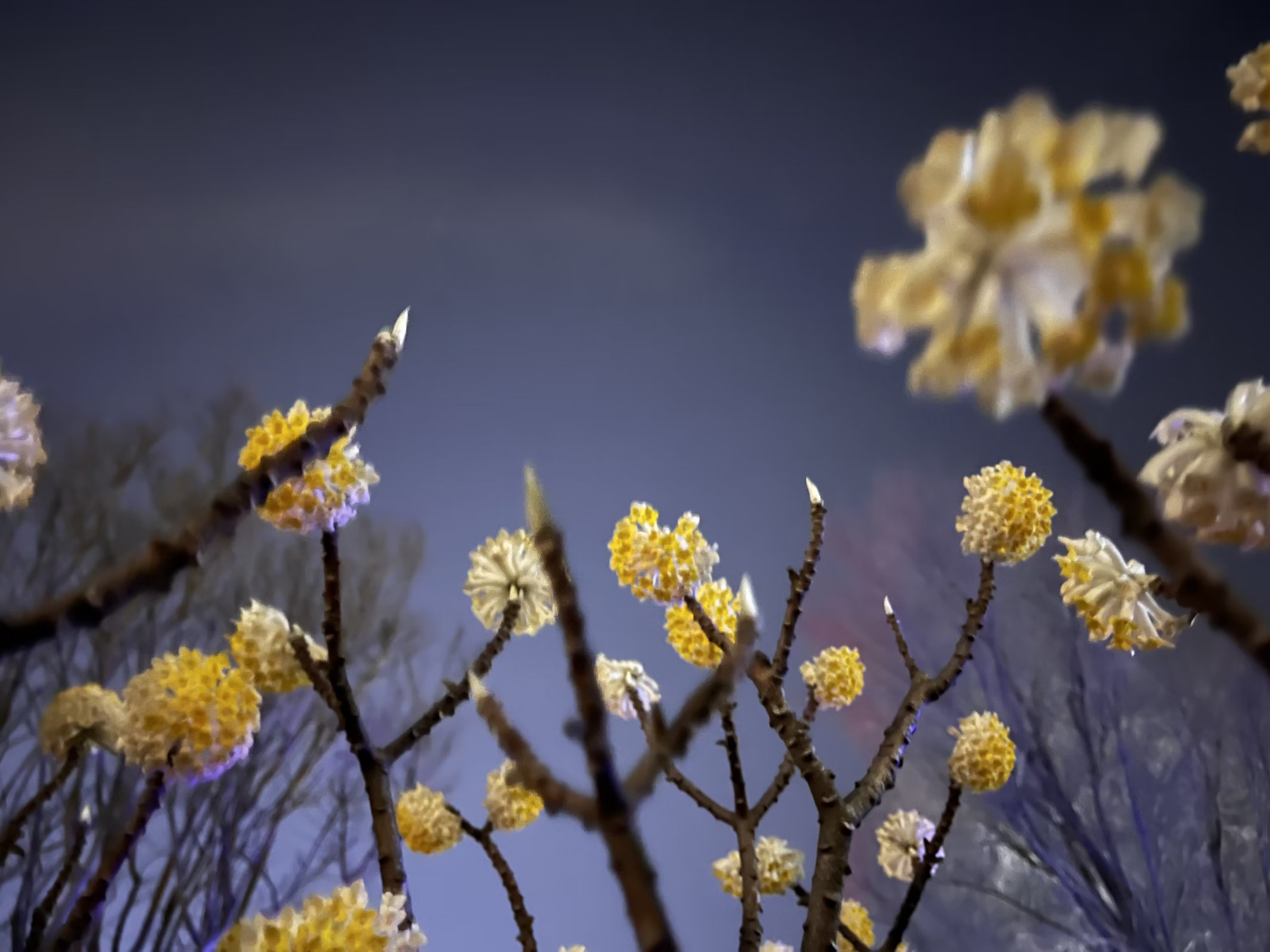 b363d2af773045f5a88a8a79b8efa5ab.jpg b363d2af773045f5a88a8a79b8efa5ab.jpg