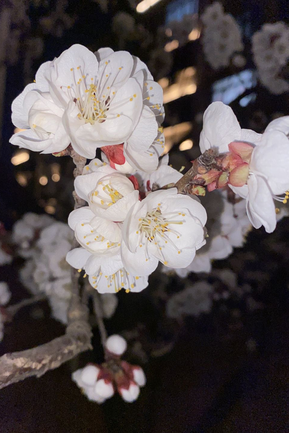 b561fb3bd49a47d789de07d61a8eb97d.jpg b561fb3bd49a47d789de07d61a8eb97d.jpg