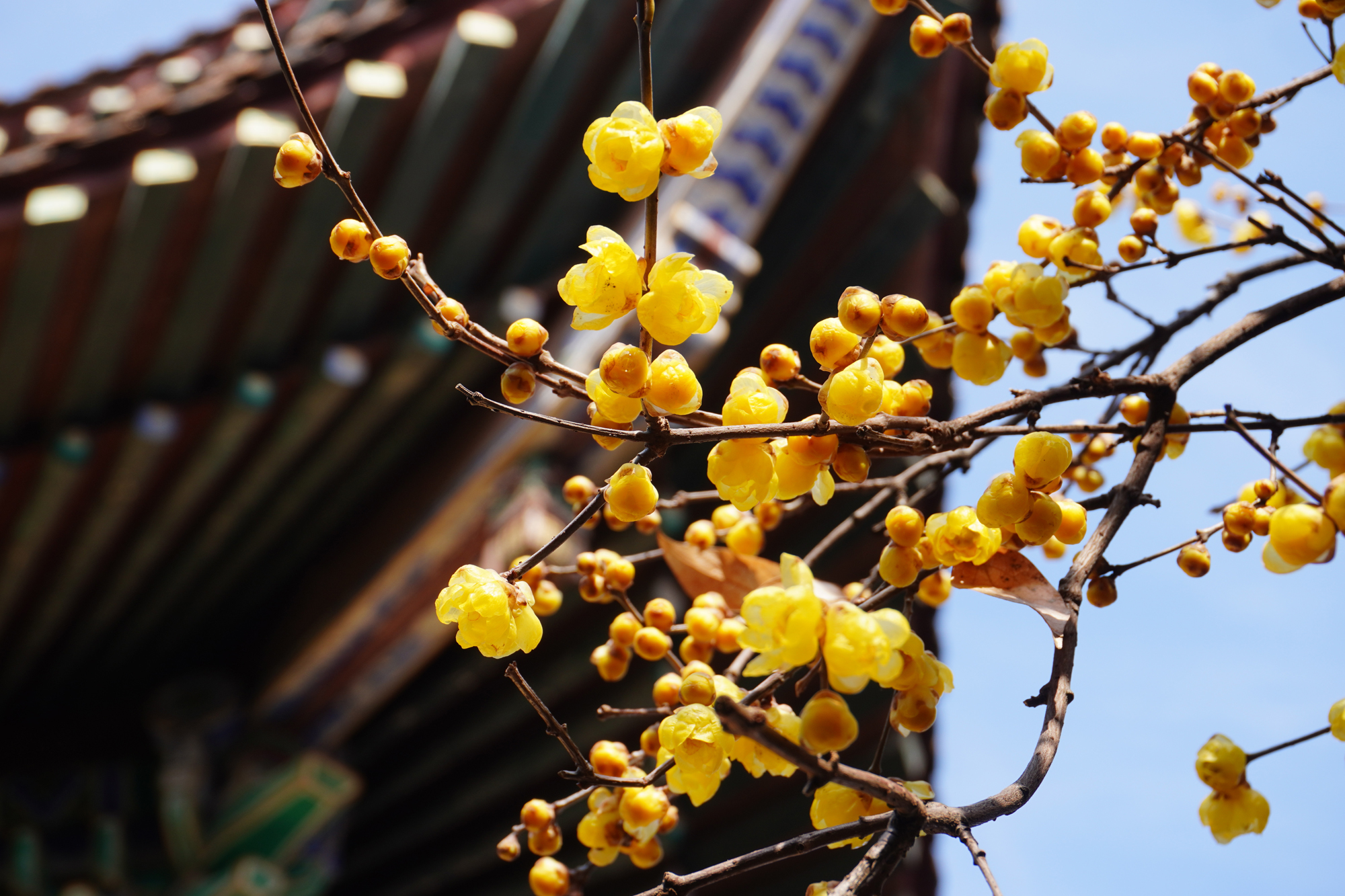 b8854cff7504475dbd9067c565deb5be.jpg b8854cff7504475dbd9067c565deb5be.jpg