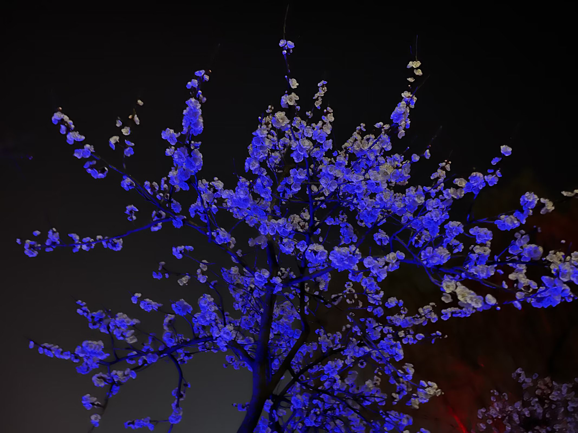 cd2e8396022742b89cf38da59aa96b29.jpg cd2e8396022742b89cf38da59aa96b29.jpg