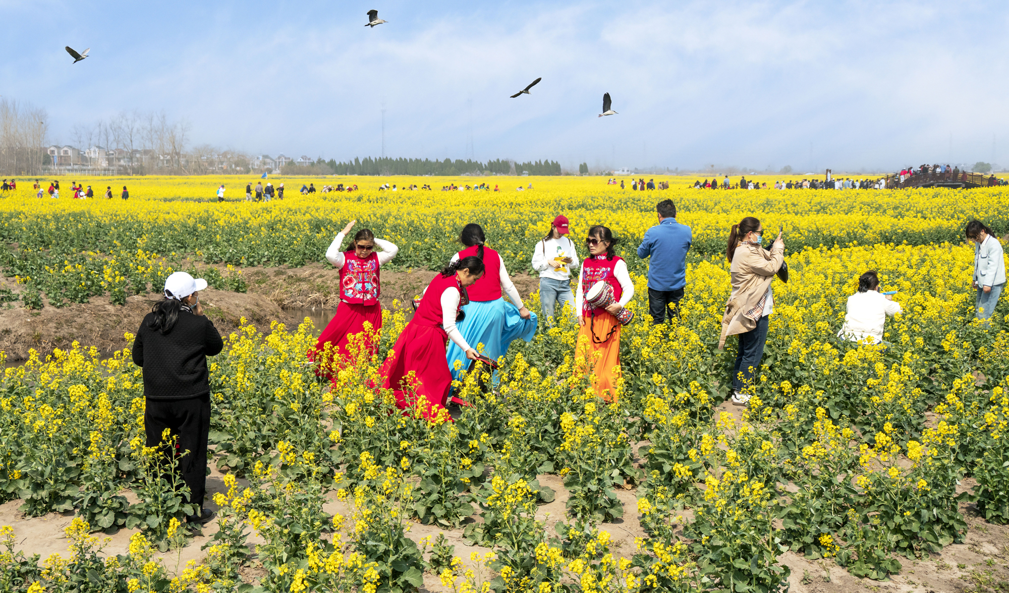 d43abee06a494266b0eb7c4623521958.jpg d43abee06a494266b0eb7c4623521958.jpg