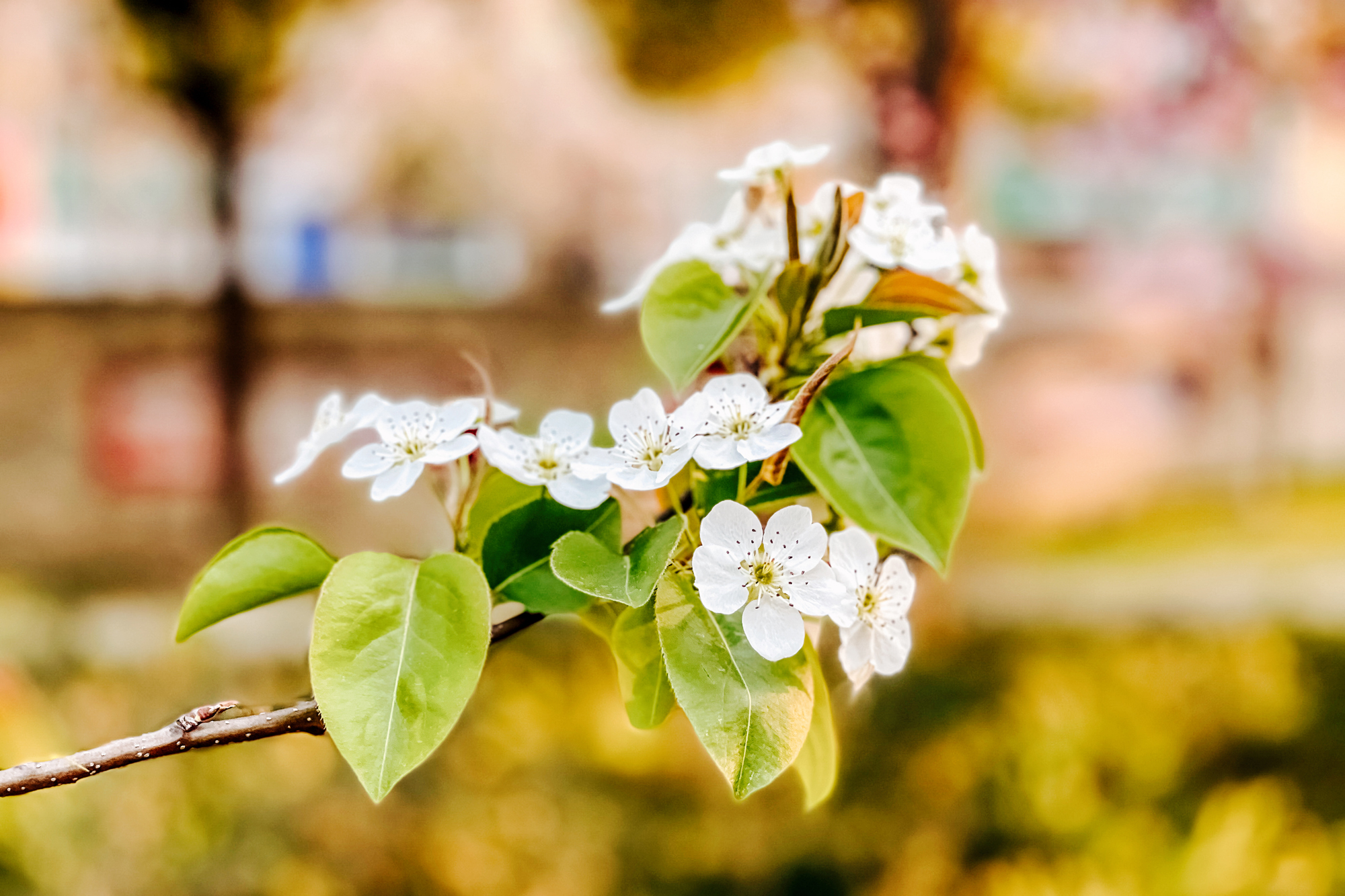 d73a599e71e945f987e8d0a8fa399a4f.jpg d73a599e71e945f987e8d0a8fa399a4f.jpg