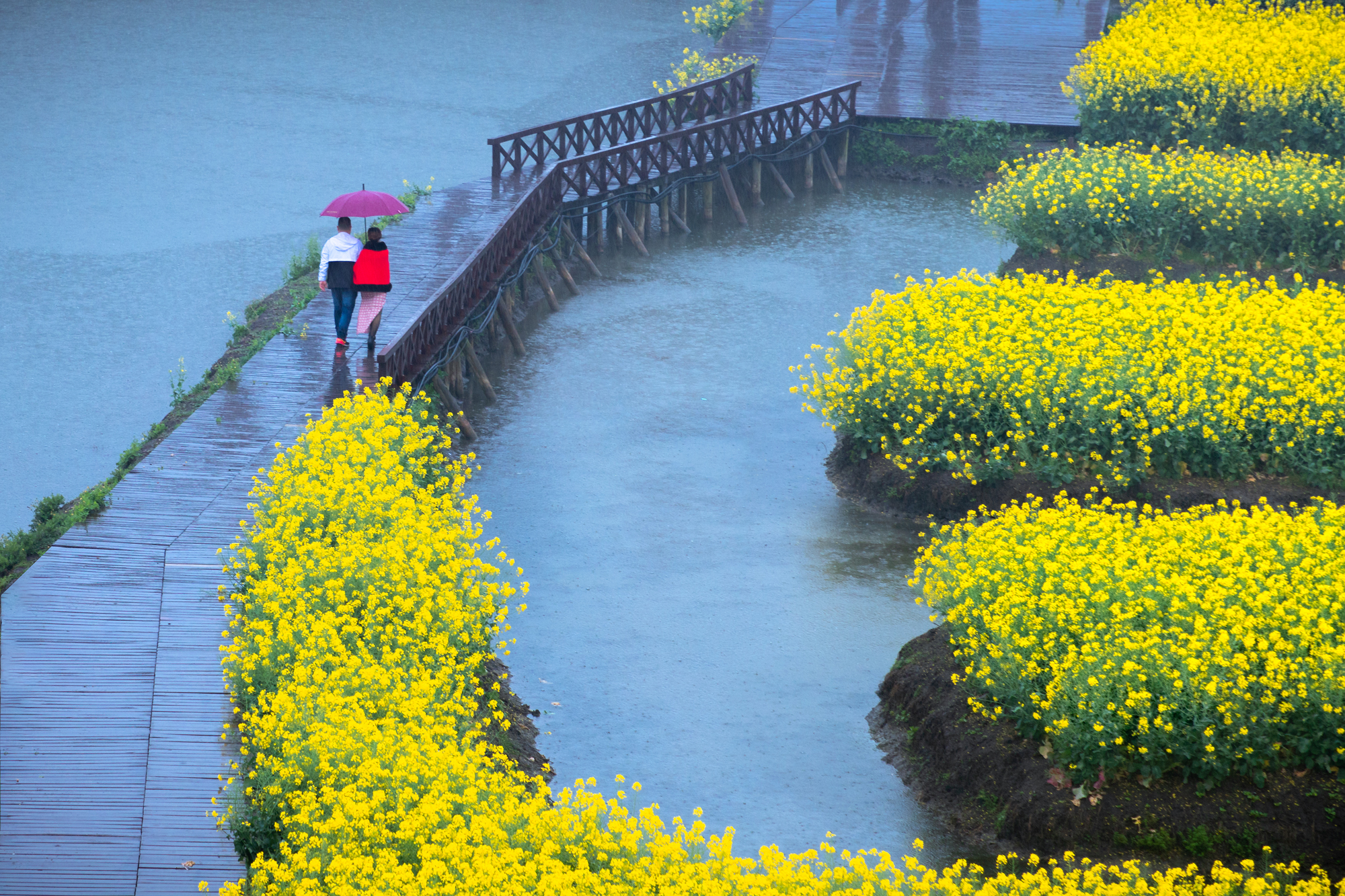 e1b3f746d80e4835b9e0c11b919d8277.jpg e1b3f746d80e4835b9e0c11b919d8277.jpg