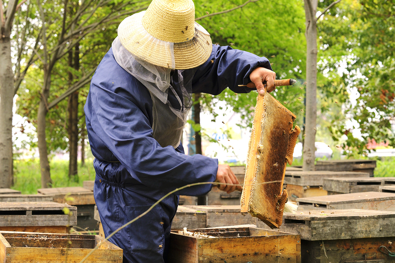 f69b6ca1470a47c3a9ee2ae4bc3c7995.jpg f69b6ca1470a47c3a9ee2ae4bc3c7995.jpg